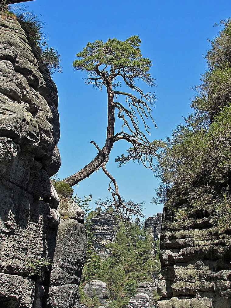 Lohmen Bastei Felsformationen