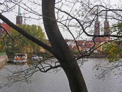 Breslau Sandinsel mit Baum