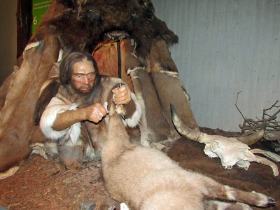 Mettmann Neanderthal Museum innen