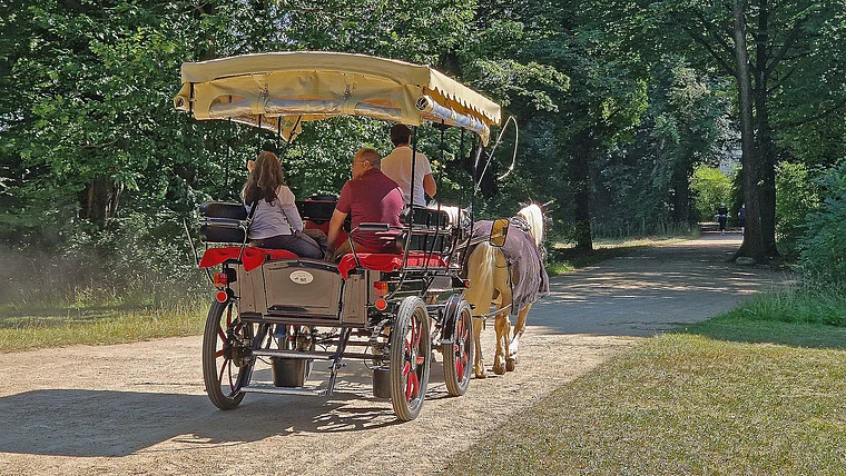 Bad Muskau Fürst Pückler Park Pferdekutsche
