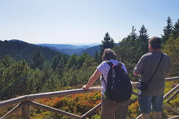 Oberhof Rennsteiggarten Ausblick
