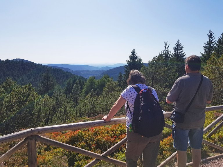 Oberhof Rennsteiggarten Ausblick