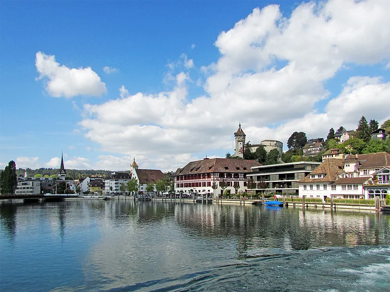 Schaffhausen Silhouette vom Rhein
