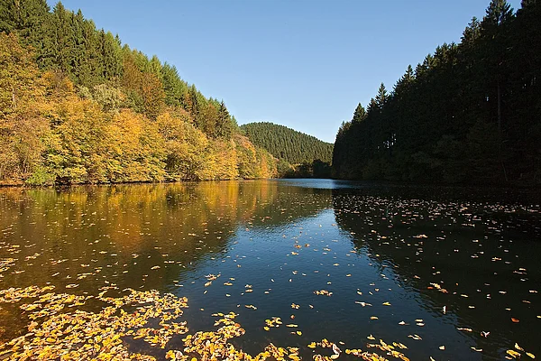 Aggertalsperre Herbst
