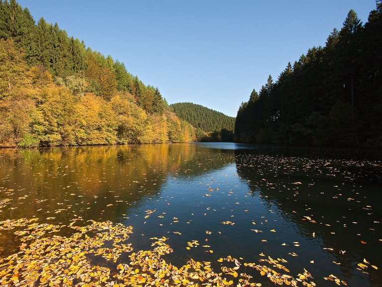 Aggertalsperre Herbst
