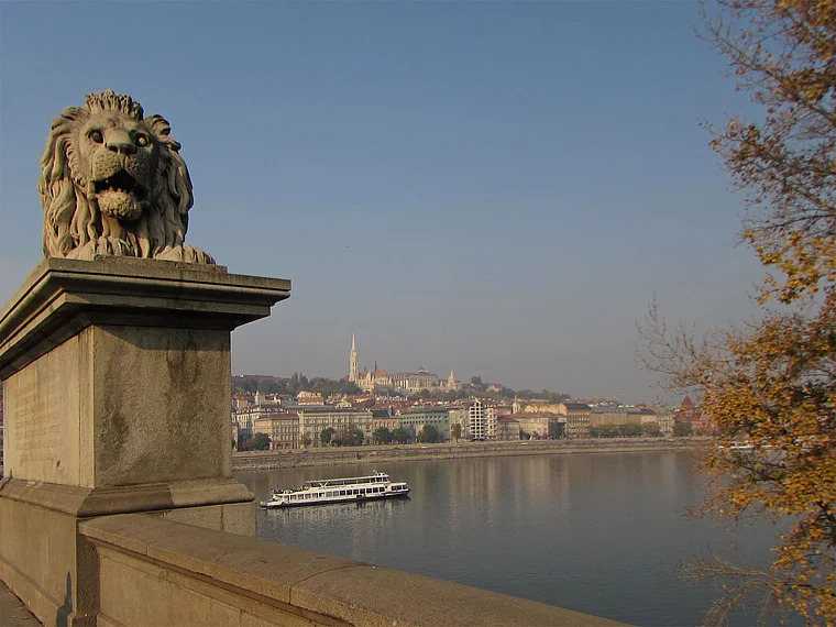 Budapest: Löwenkopf auf der Kettenbrücke