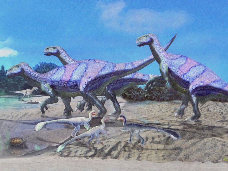 Bückeberg Dinosaurier grafische Darstellung