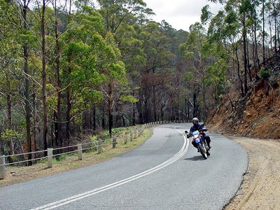 Tasmanien Straßenkurve mit Motorrad