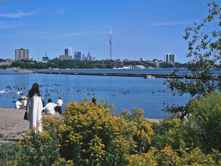 Toronto Humber Bay Park Aussicht auf Skyline