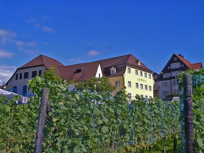 Liechtenstein Vaduz Gasthof Löwen mit Weinberg