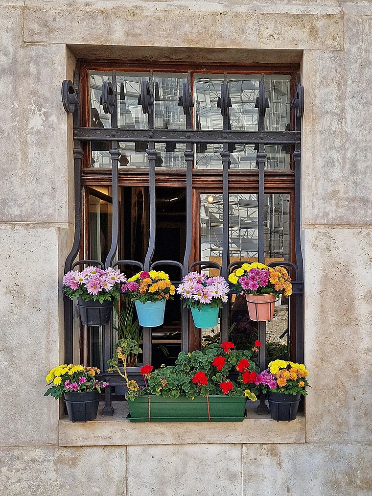 Wien Hofburg Blumenfenster
