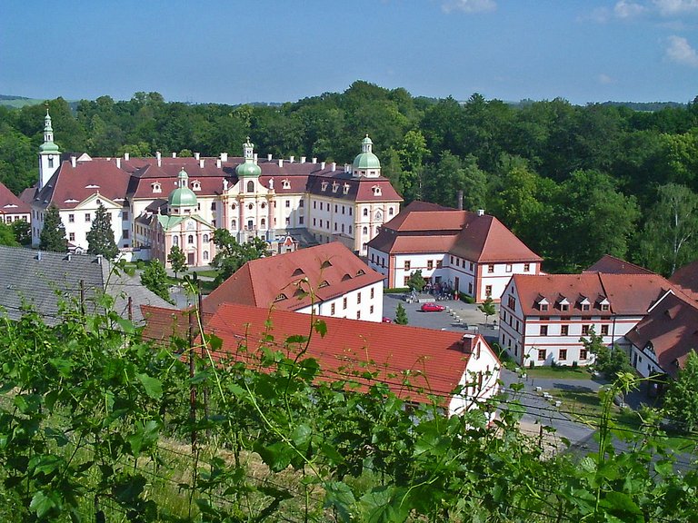 Ostritz Kloster St. Marienthal Totale mit Weinberg Sommer