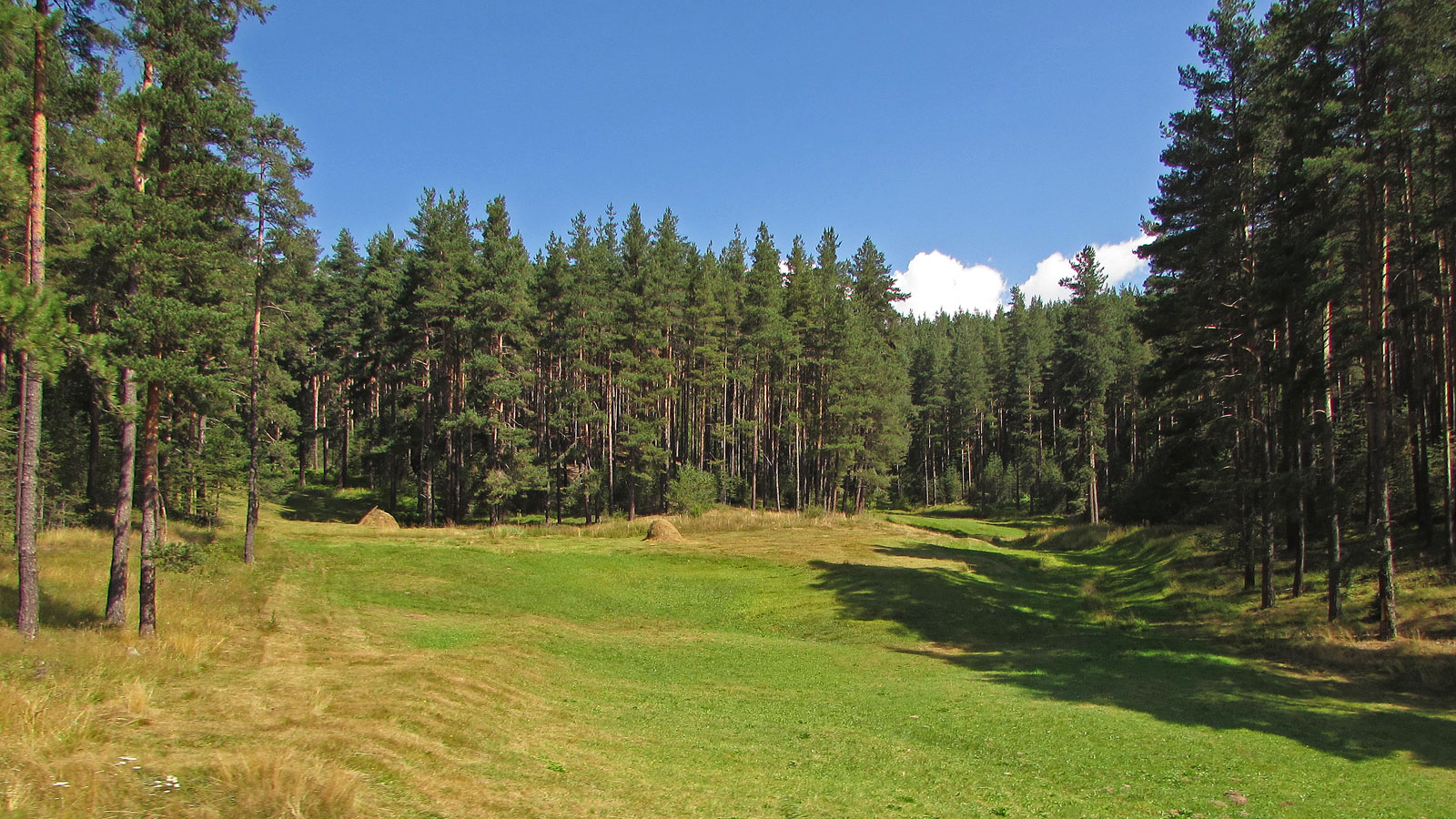 Bulgarien Rhodopen Landschaft