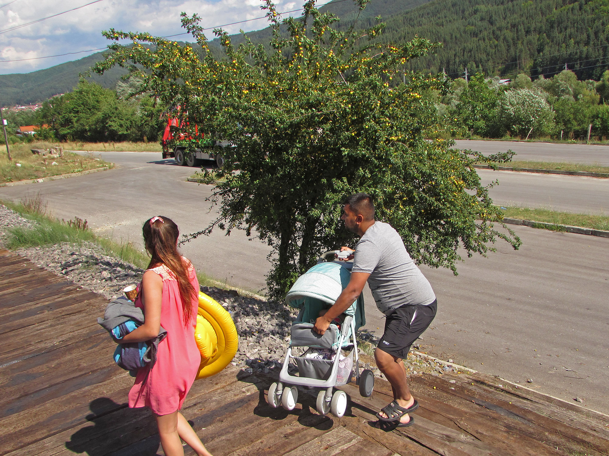 Bulgarien Rhodopen Mirabellenbäume