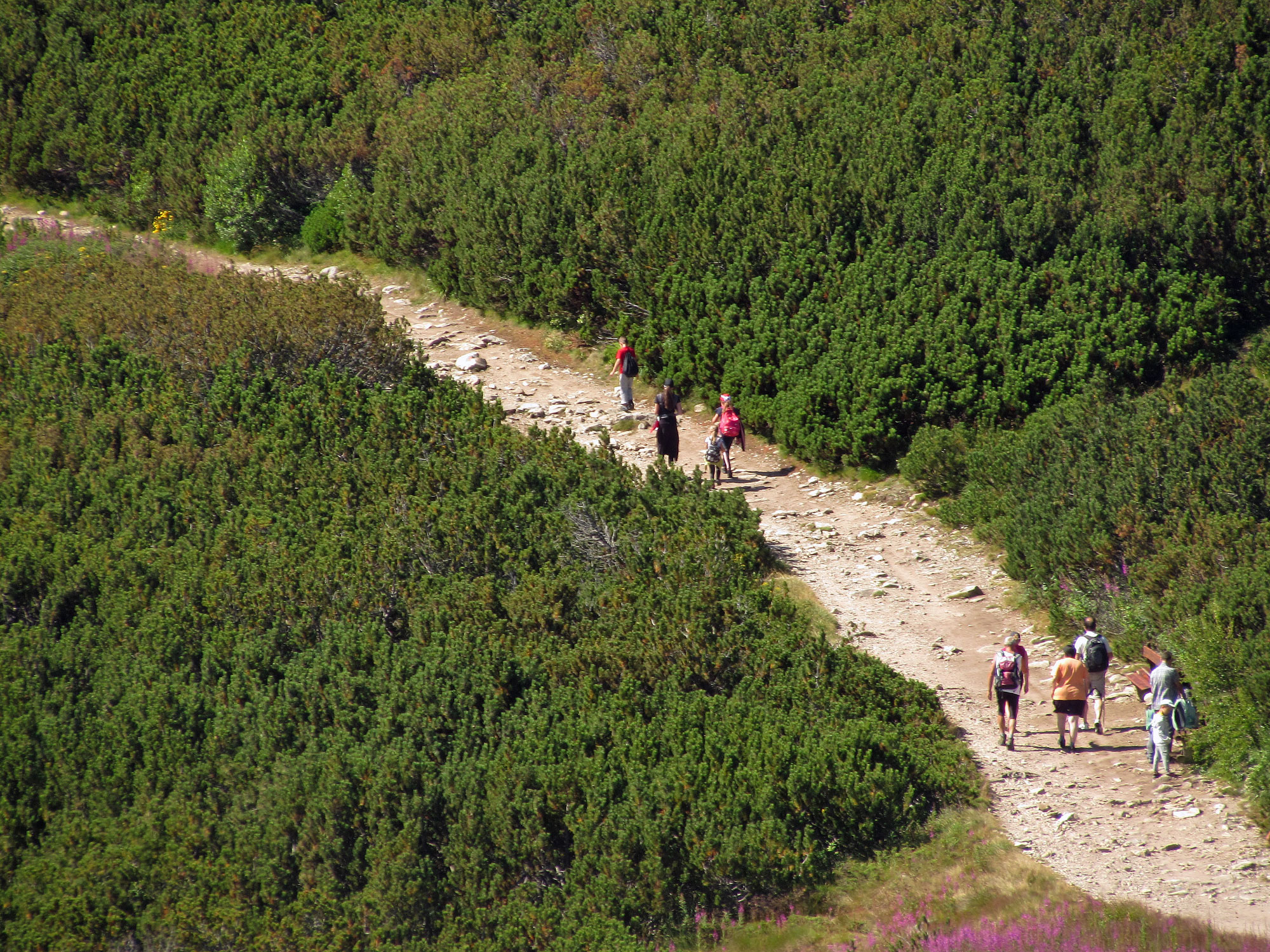 Bulgarien Musala Wanderer