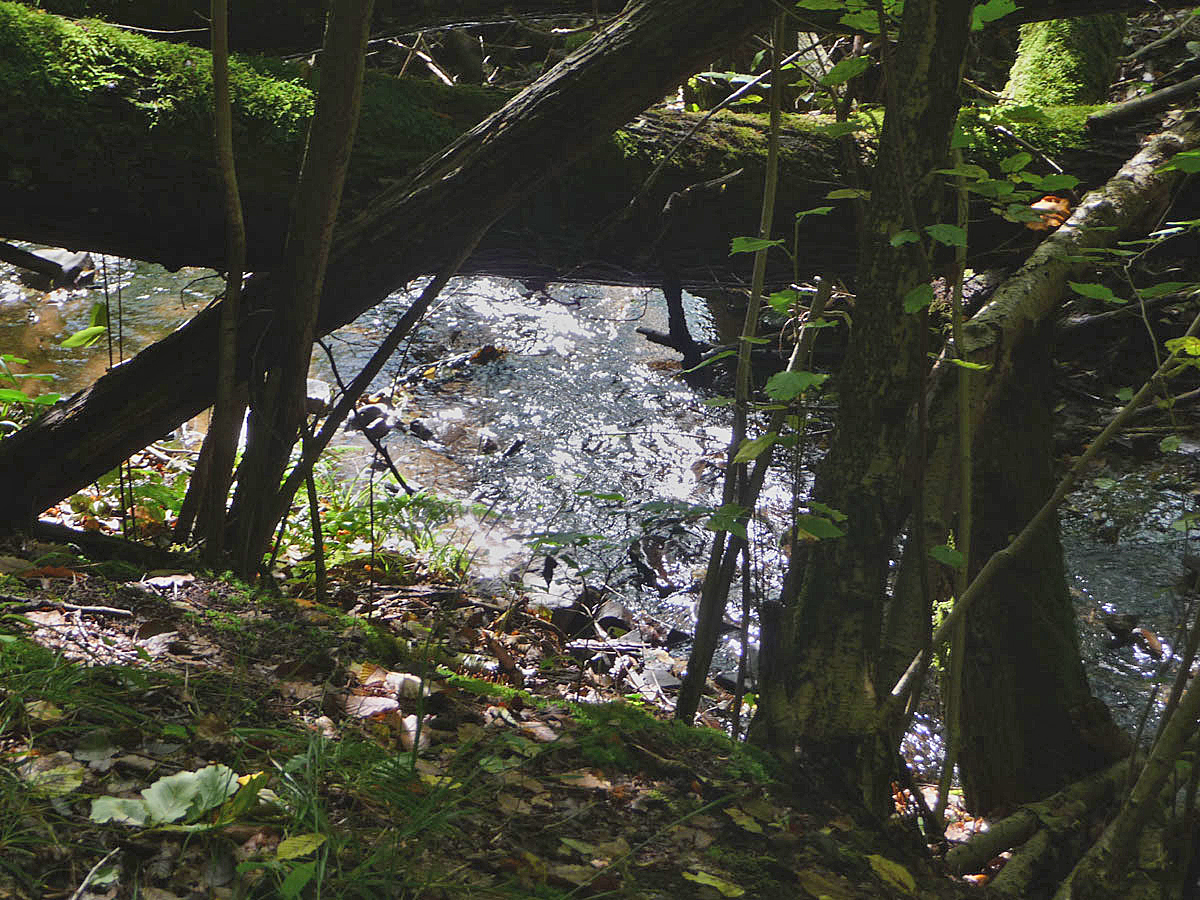 Dilltal Oberlauf
