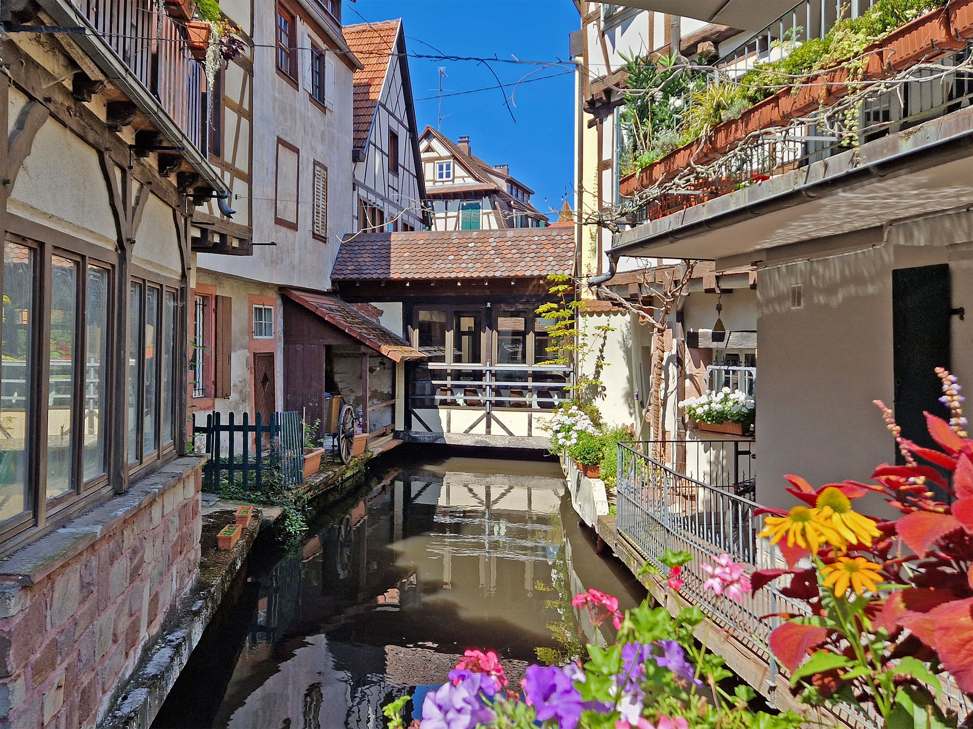 Wissembourg Elsass Lauter