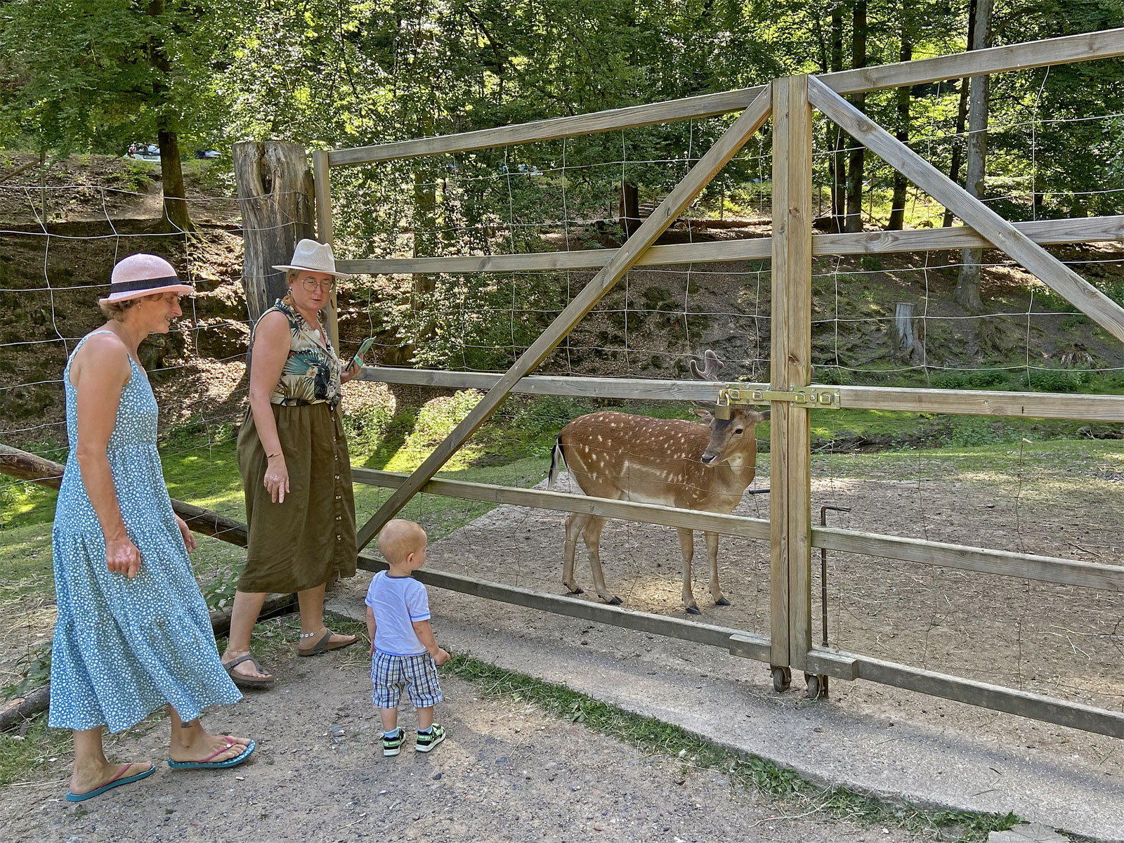 Erbach (Odenwald) Wildpark