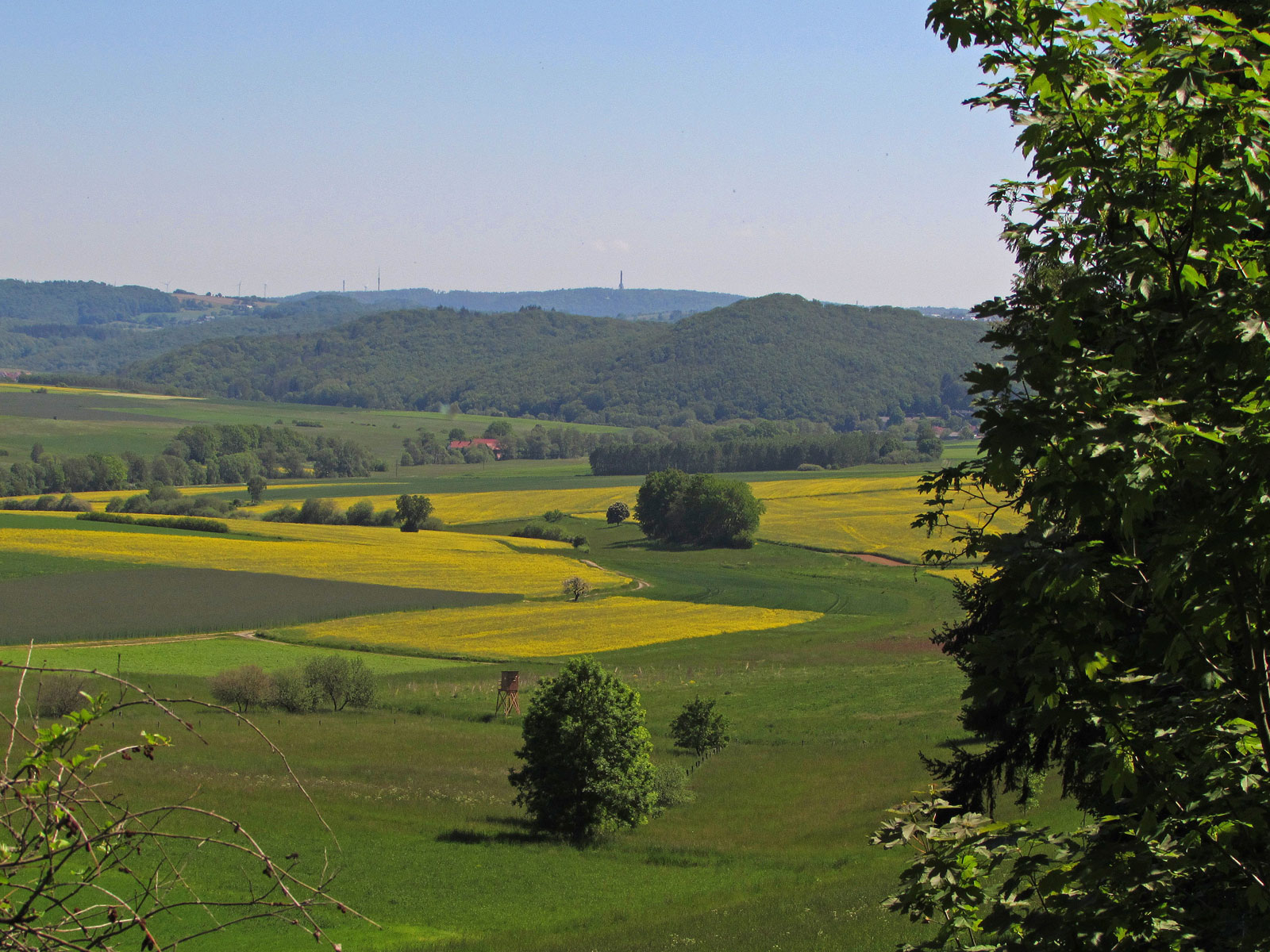 Gladenbach Friebertshausen von fern