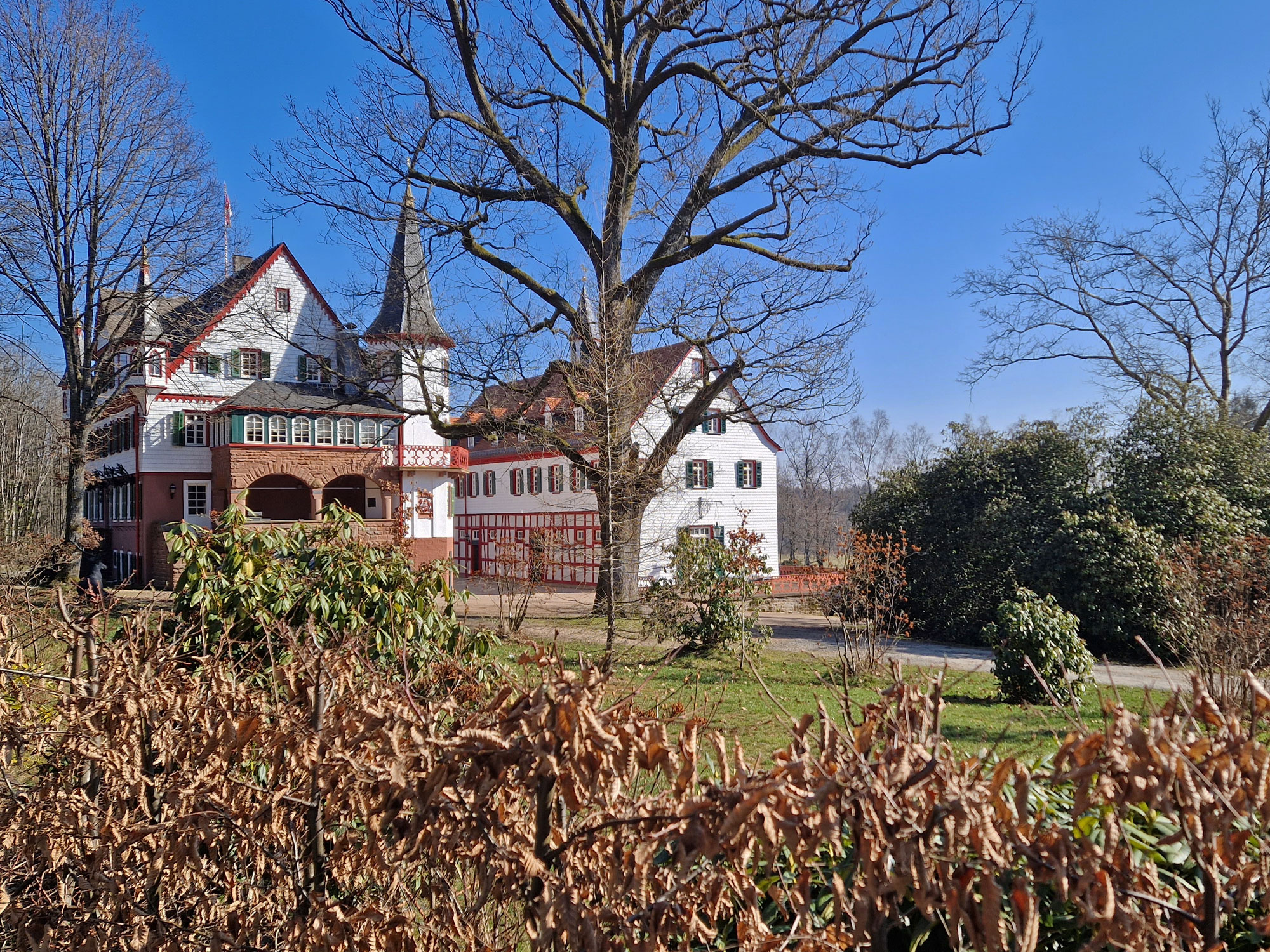 Michelstadt Schloss Eulbach von Westen
