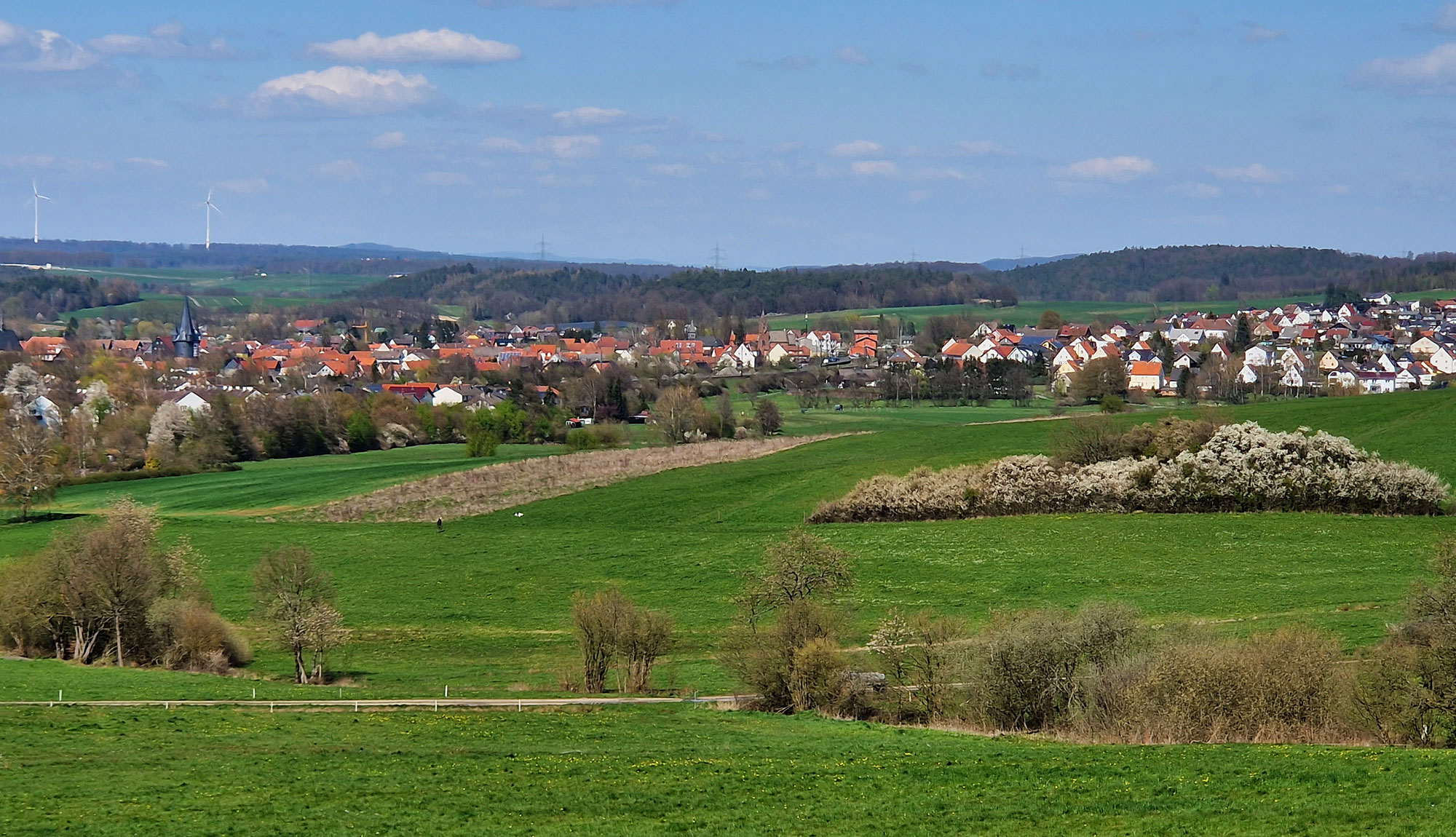 Neustadt Hessen von fern