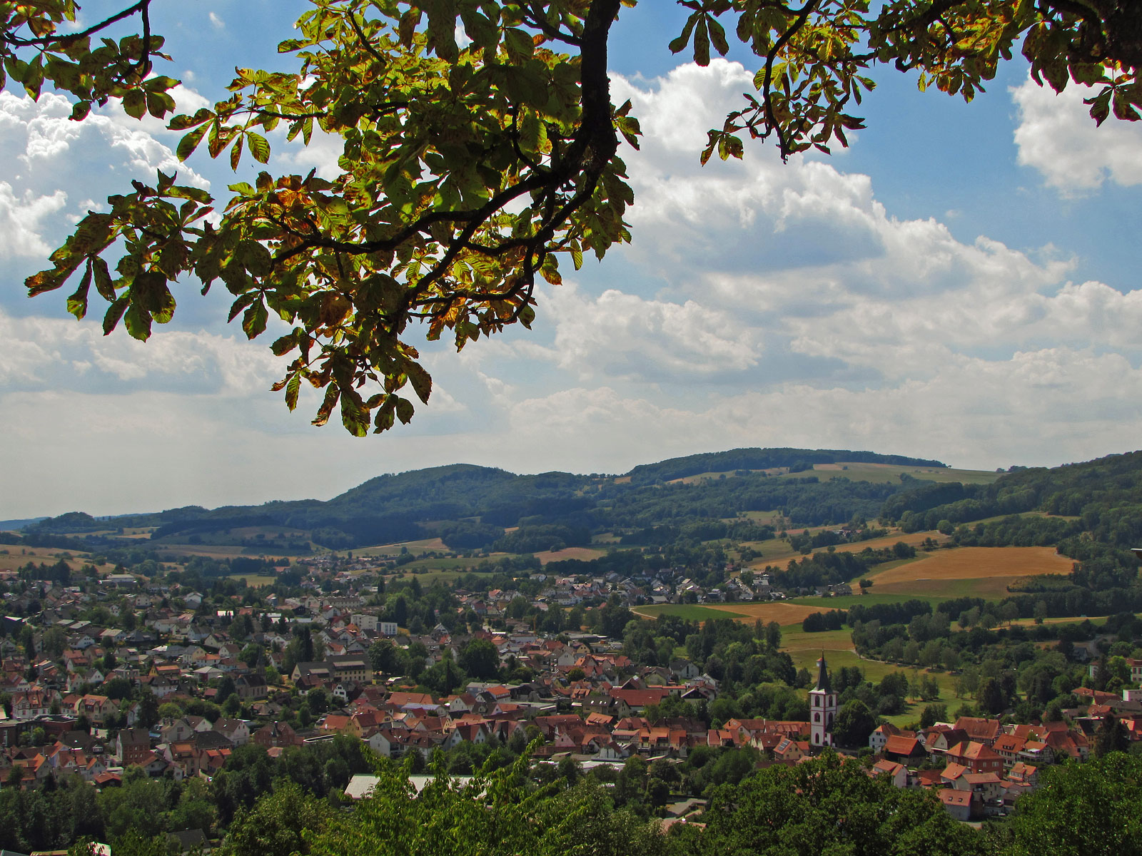 Reichelsheim (Odenwald) Schloss Reichenberg Aussicht