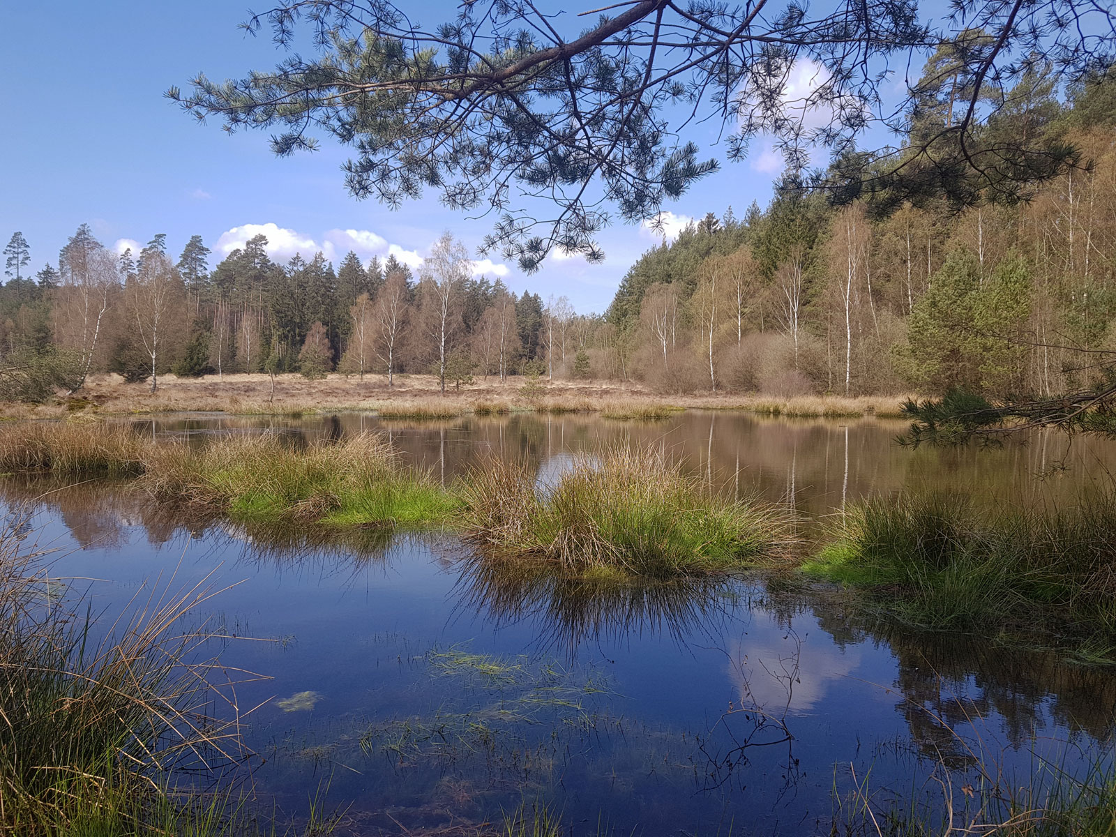 Wetter Burgwald Naturschutzgebiet
