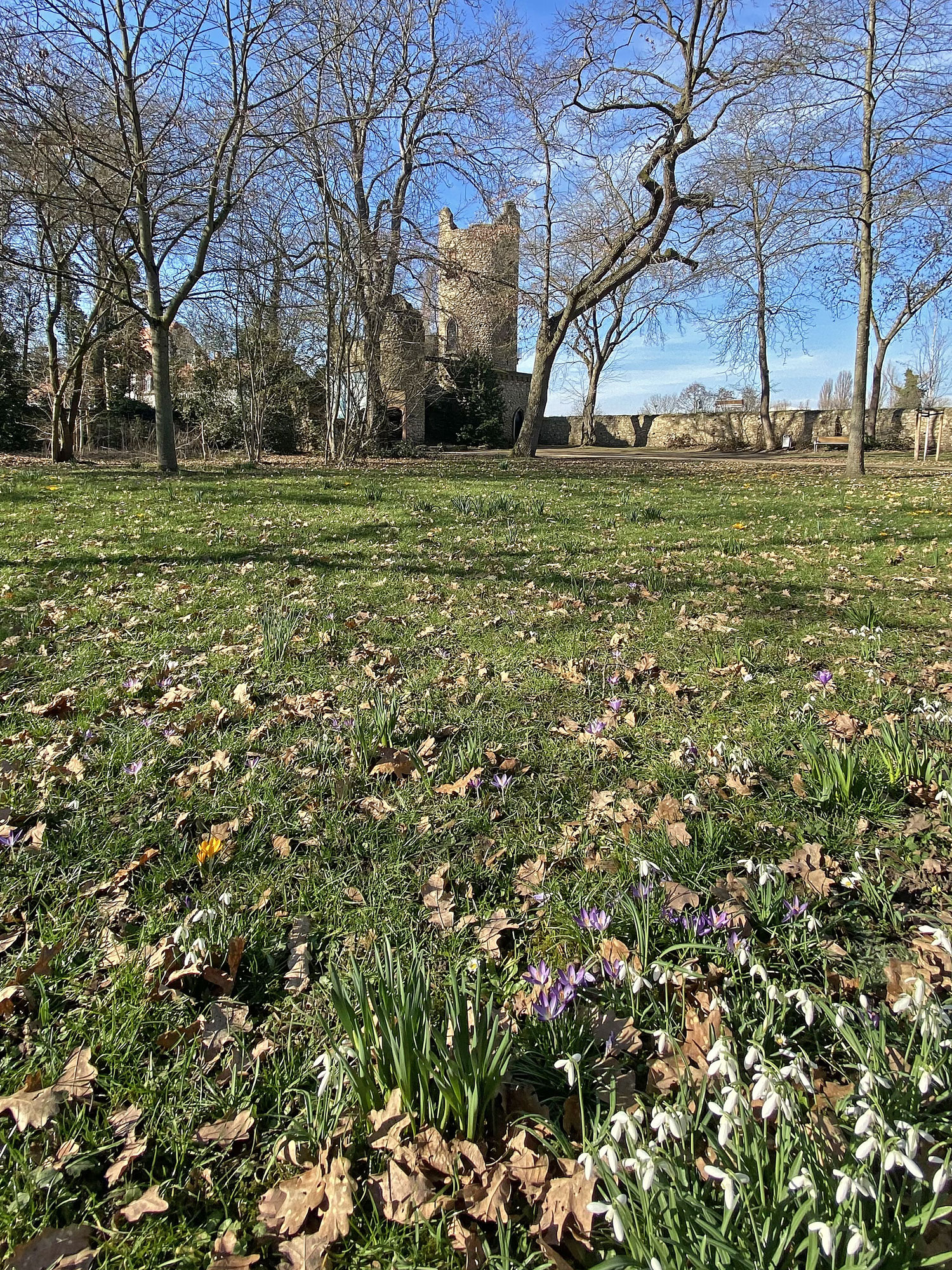 Rüsselsheim Stadtpark