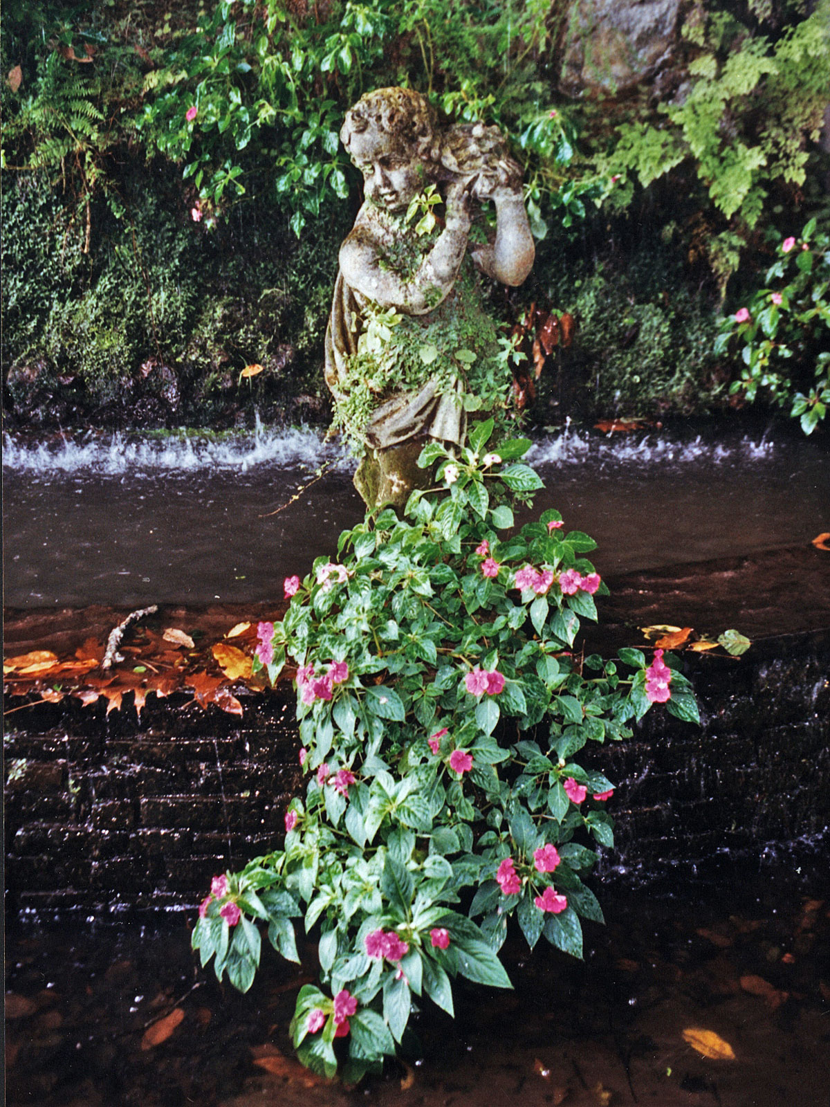Madeira Funchal Botanischer Garten Putte