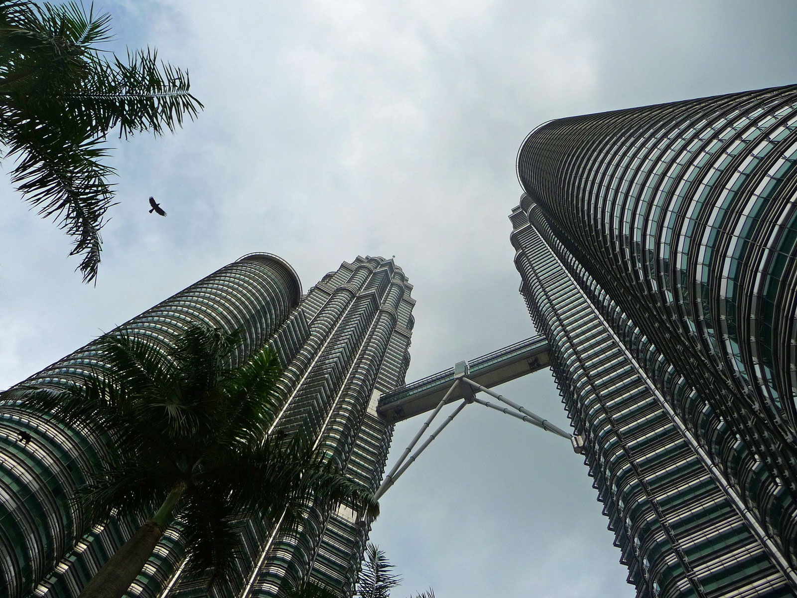Kuala Lumpur Petronas Towers Blick nach oben