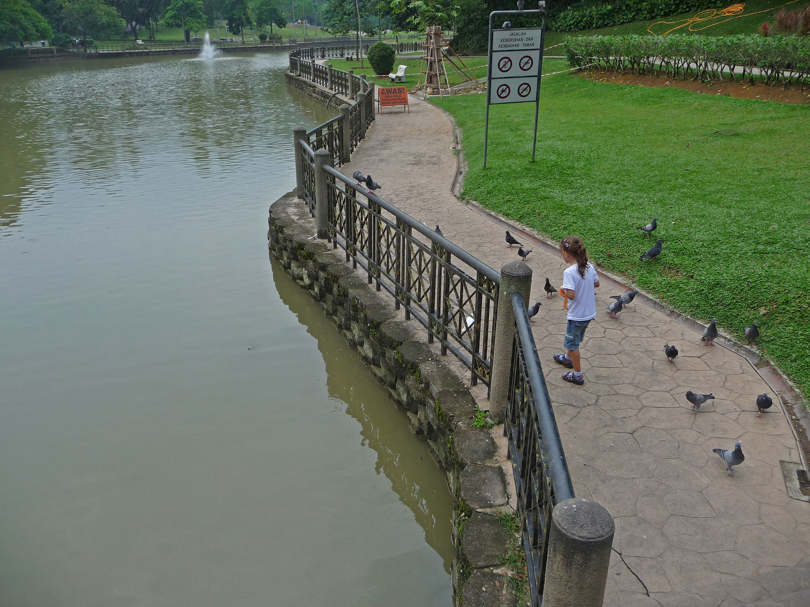 Kuala Lumpur Park Mont Kiara Tauben