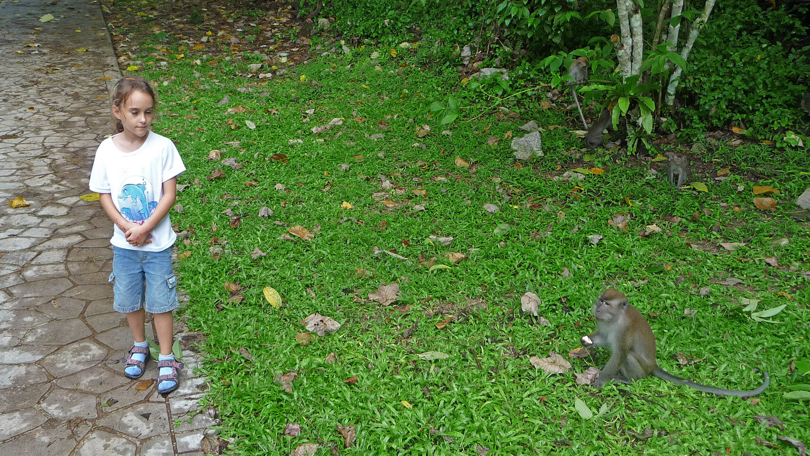 Kuala Lumpur Marie Thome mit Affe