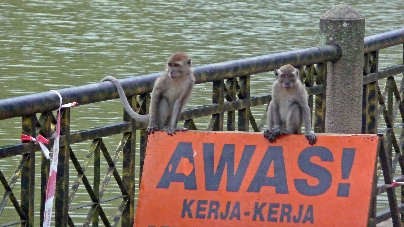 Kuala Lumpur Mont Kiara Warnung vor Affen