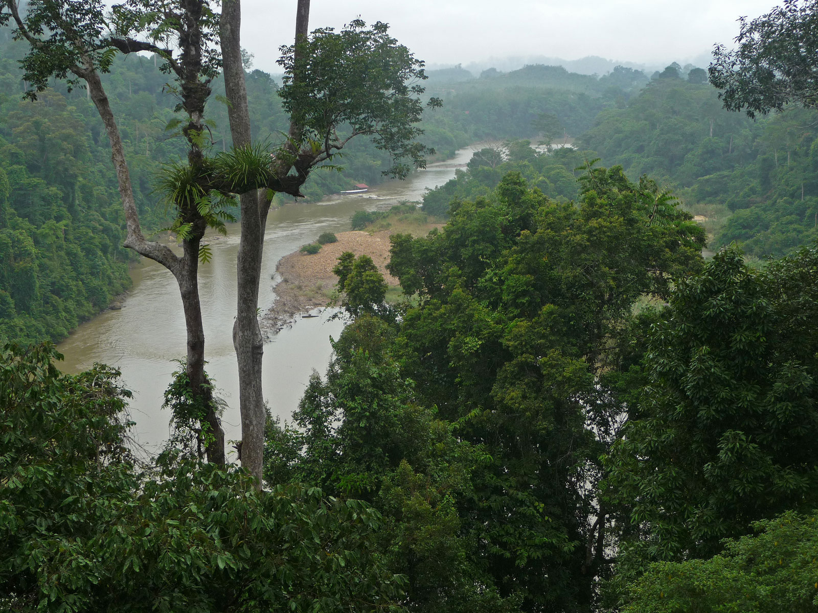 Malaysia Taman Negara Baumwipfelpfad Sungai Tembeling