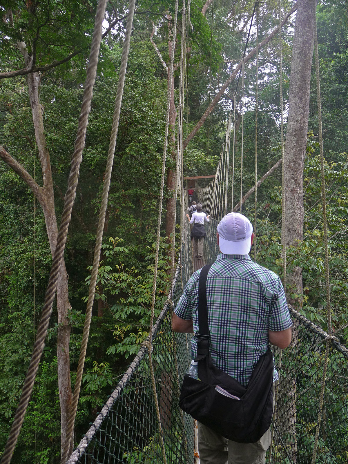 Malaysia Taman Negara Hängebrücke
