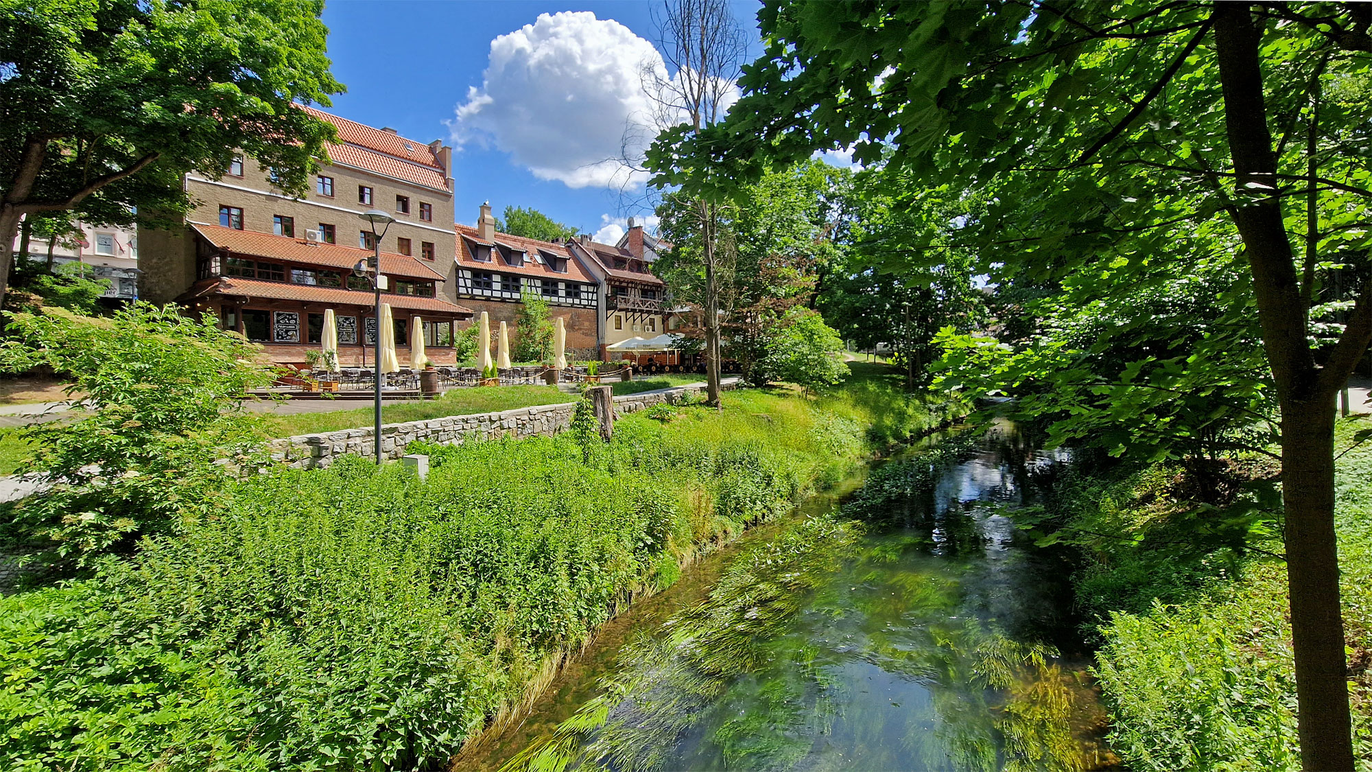 Allenstein Fluss Alle