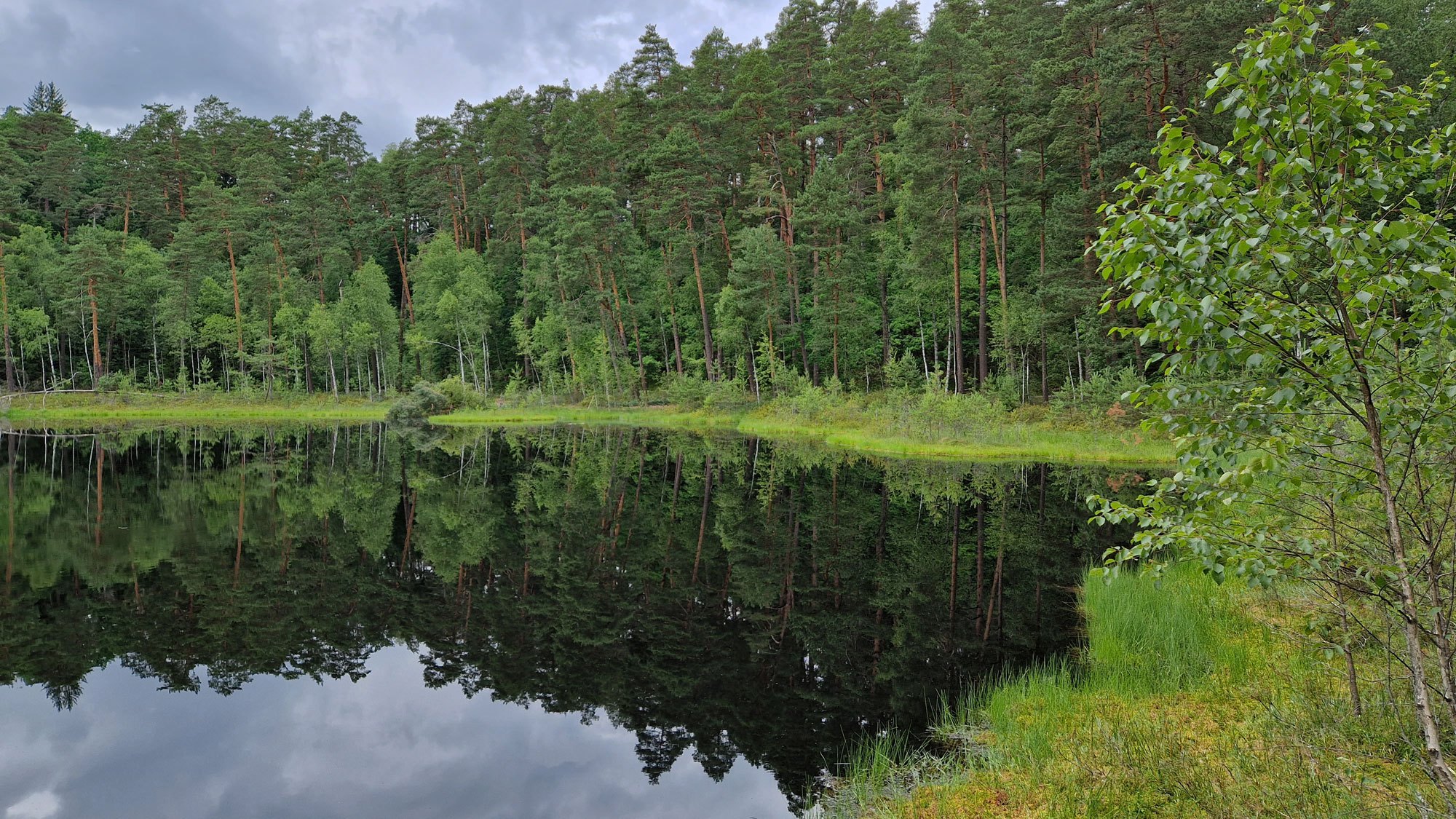 Kruttinnen Johannisburger Heide See