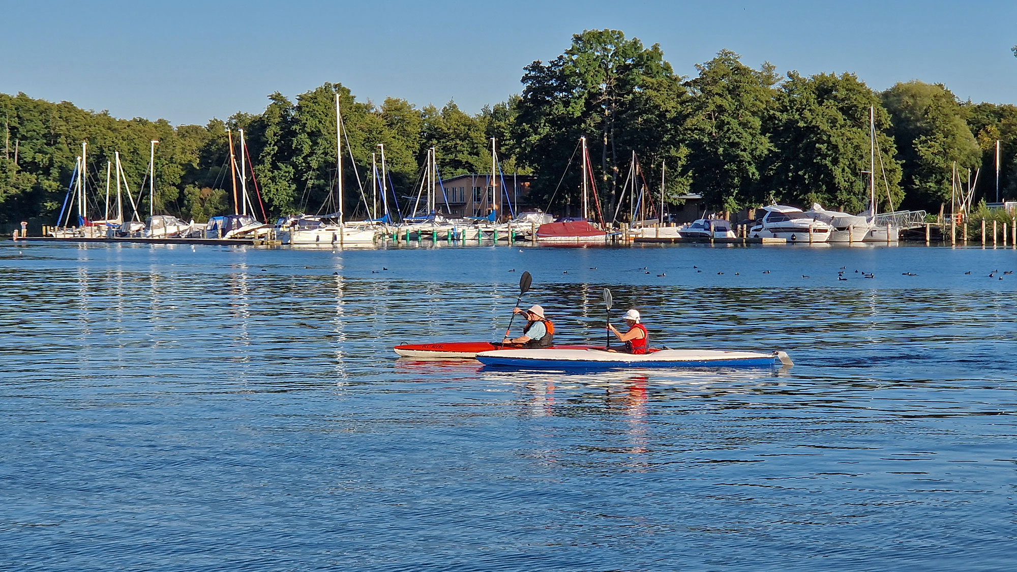 Schweriner See Paddler