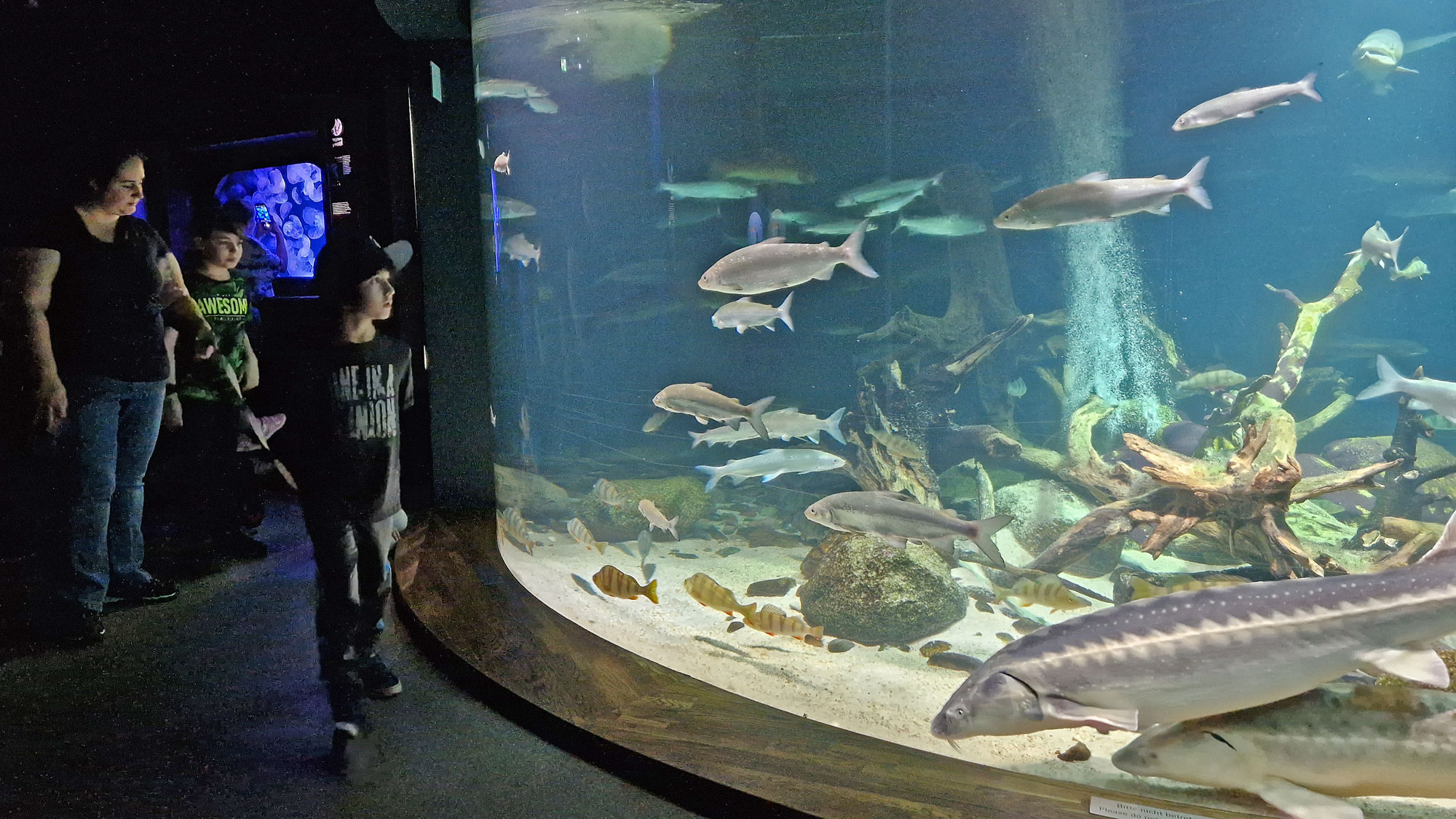 Stralsund Ozeaneum innen