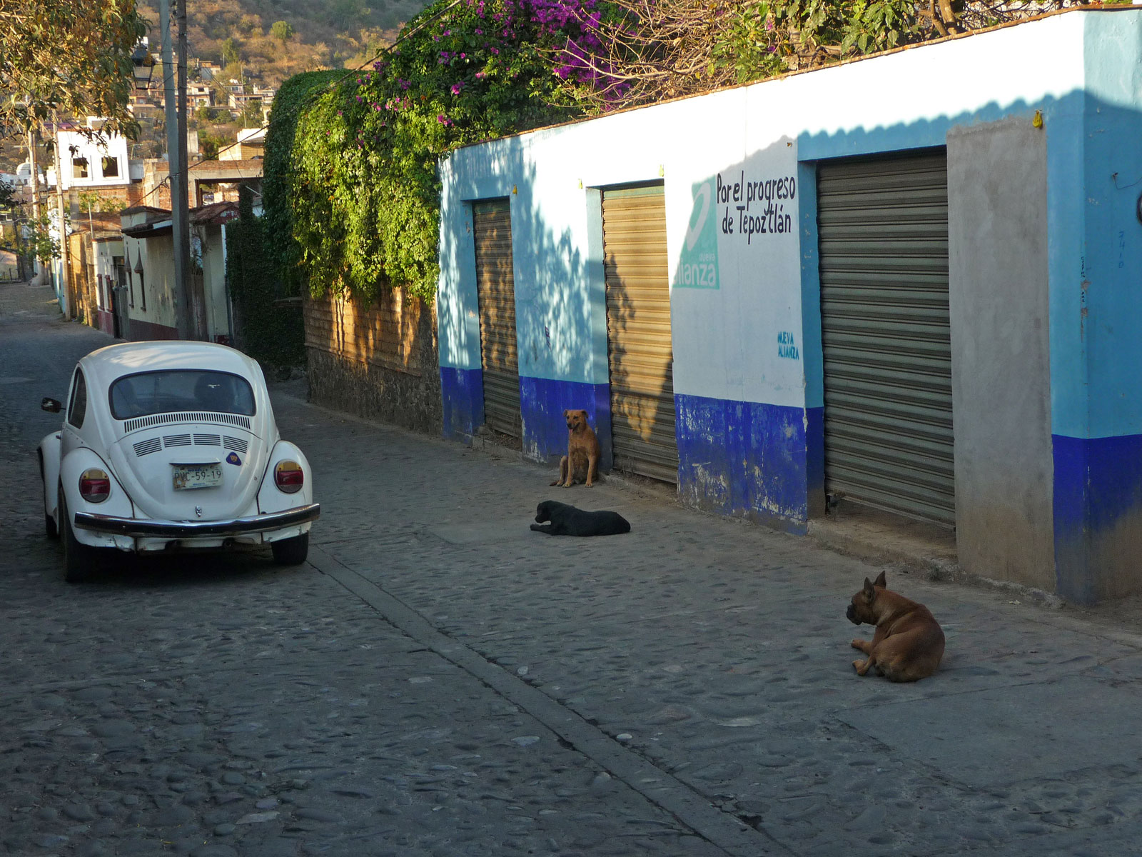 Tepoztlan Mexiko VW Käfer