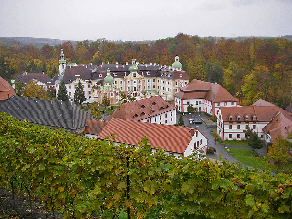 Ostritz Kloster St. Marienthal Totale mit Weinberg Herbst