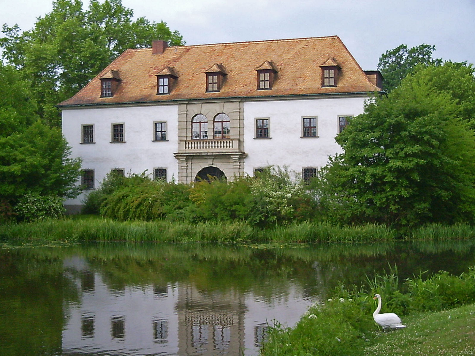Bad Muskau Fürst Pückler Park Schwan