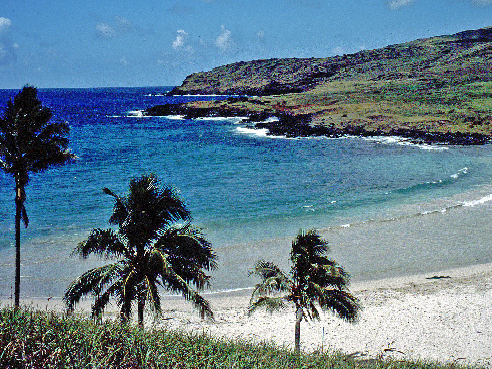 Osterinsel Anakena Strand mit Palmen