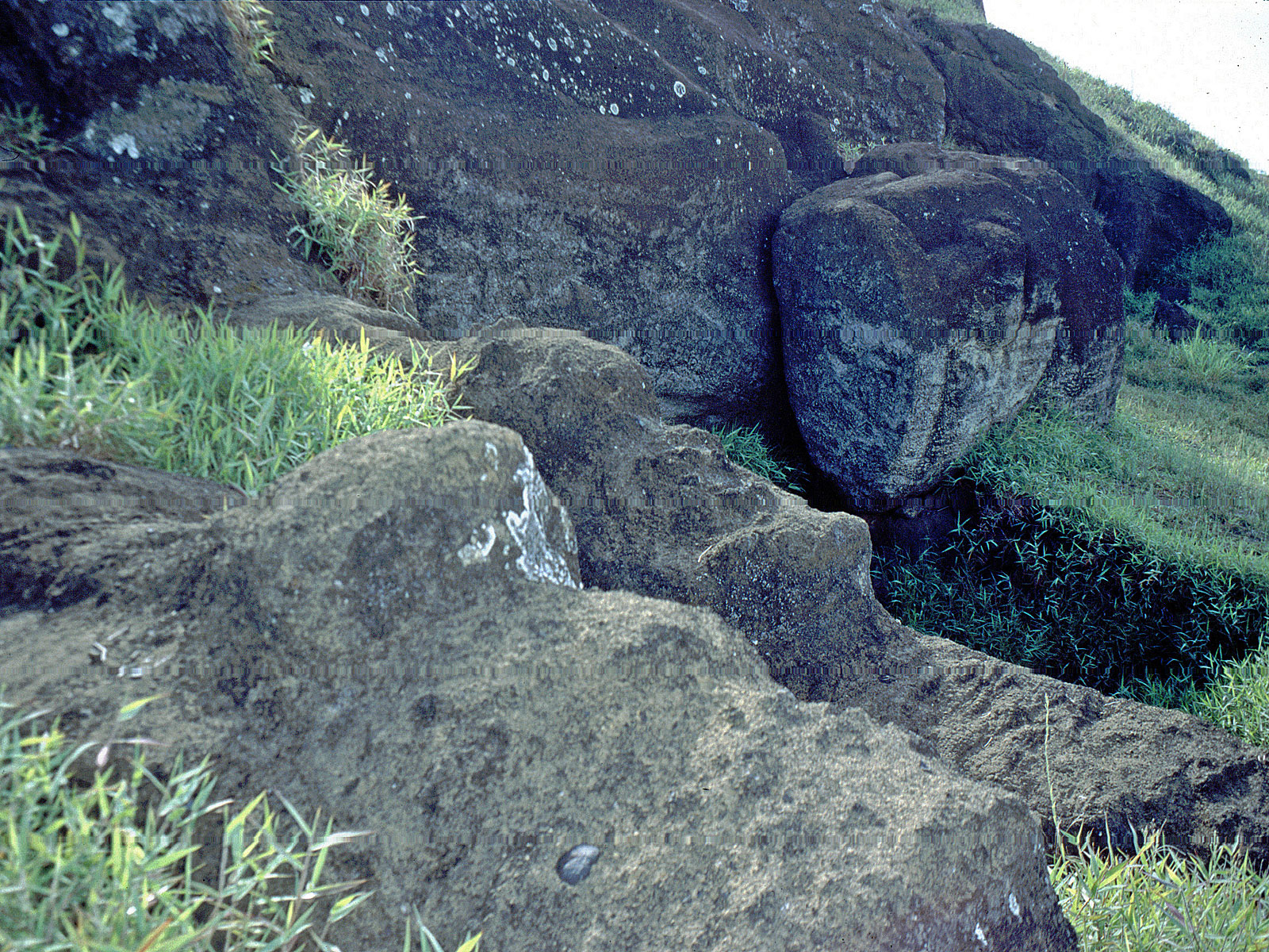 Osterinsel Rano Raraku unvollendete Moai nah