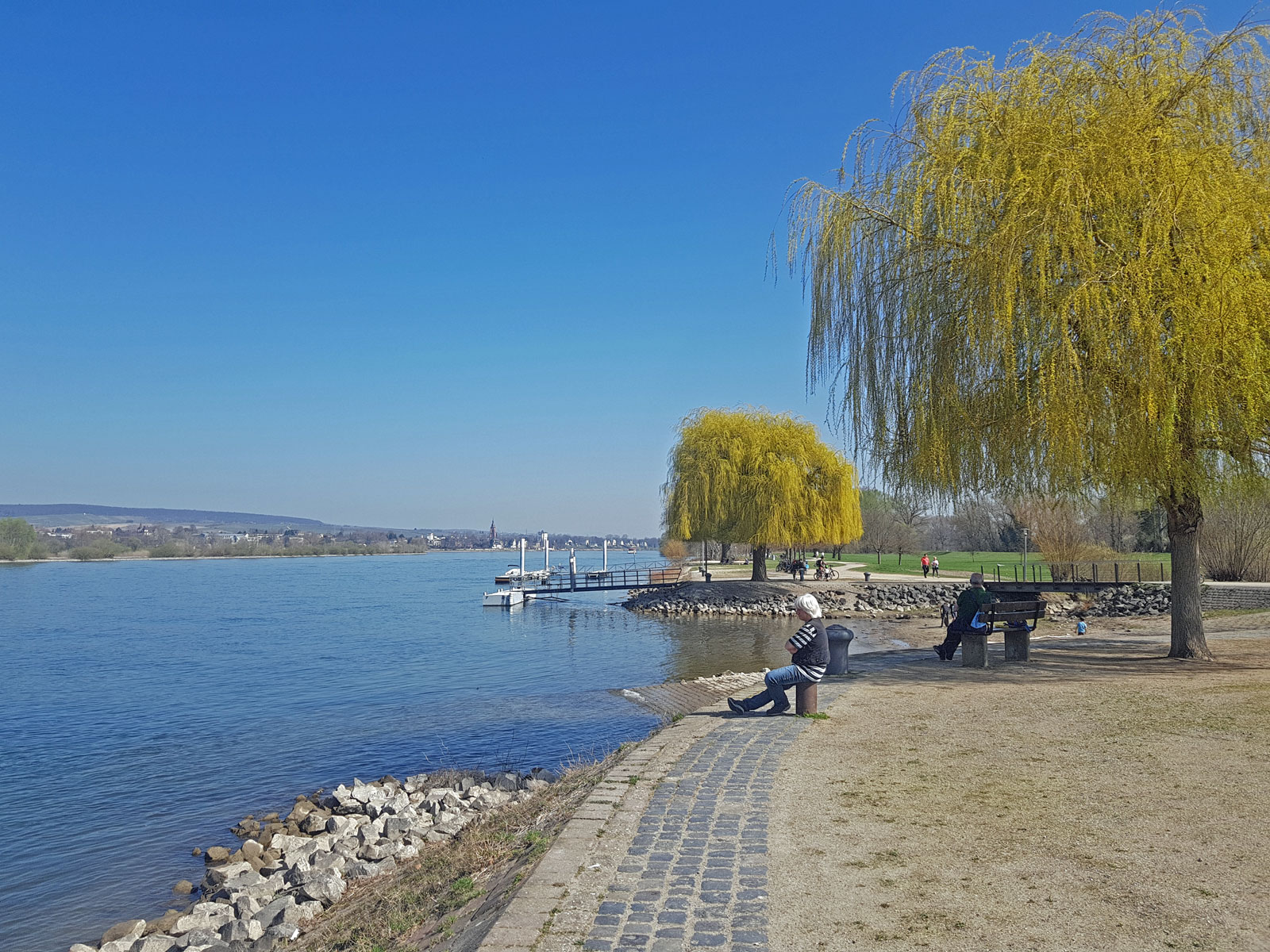 Ingelheim Heidenfahrt Rheinufer