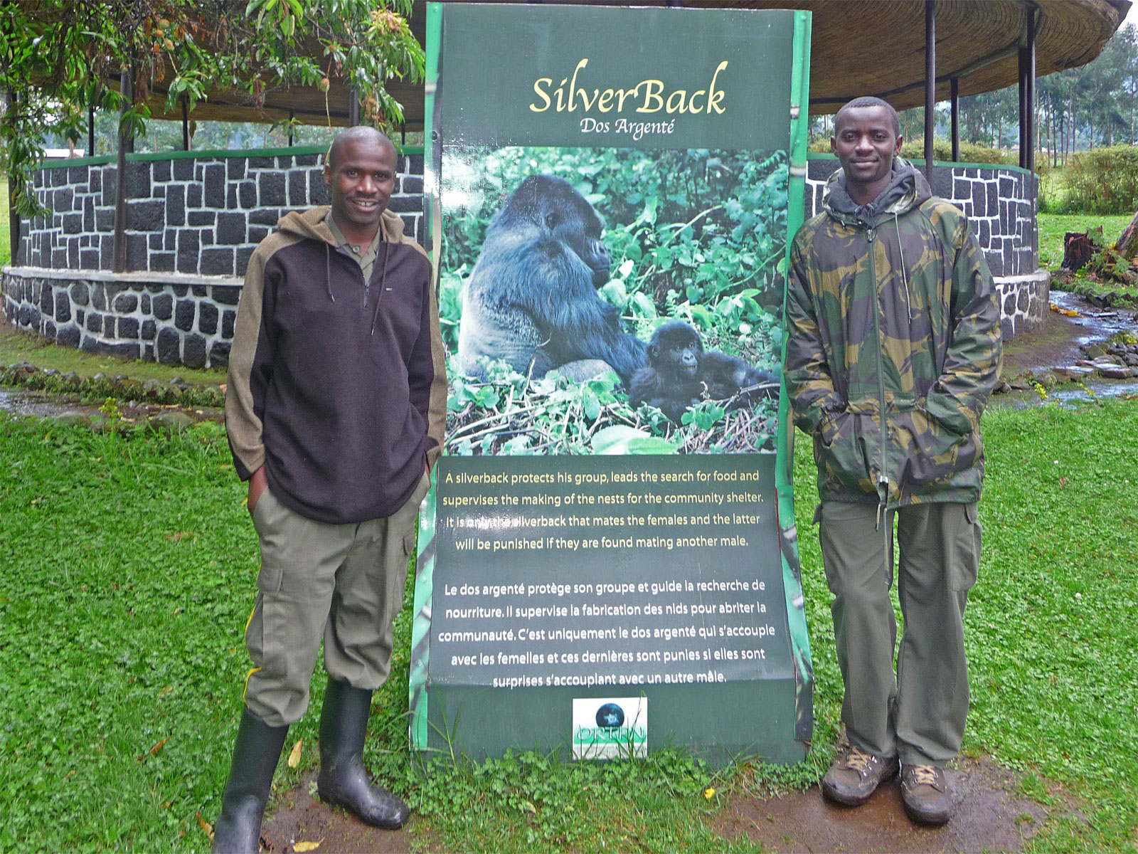 Ruanda Volcanoes National Park Gorilla Tour Guides