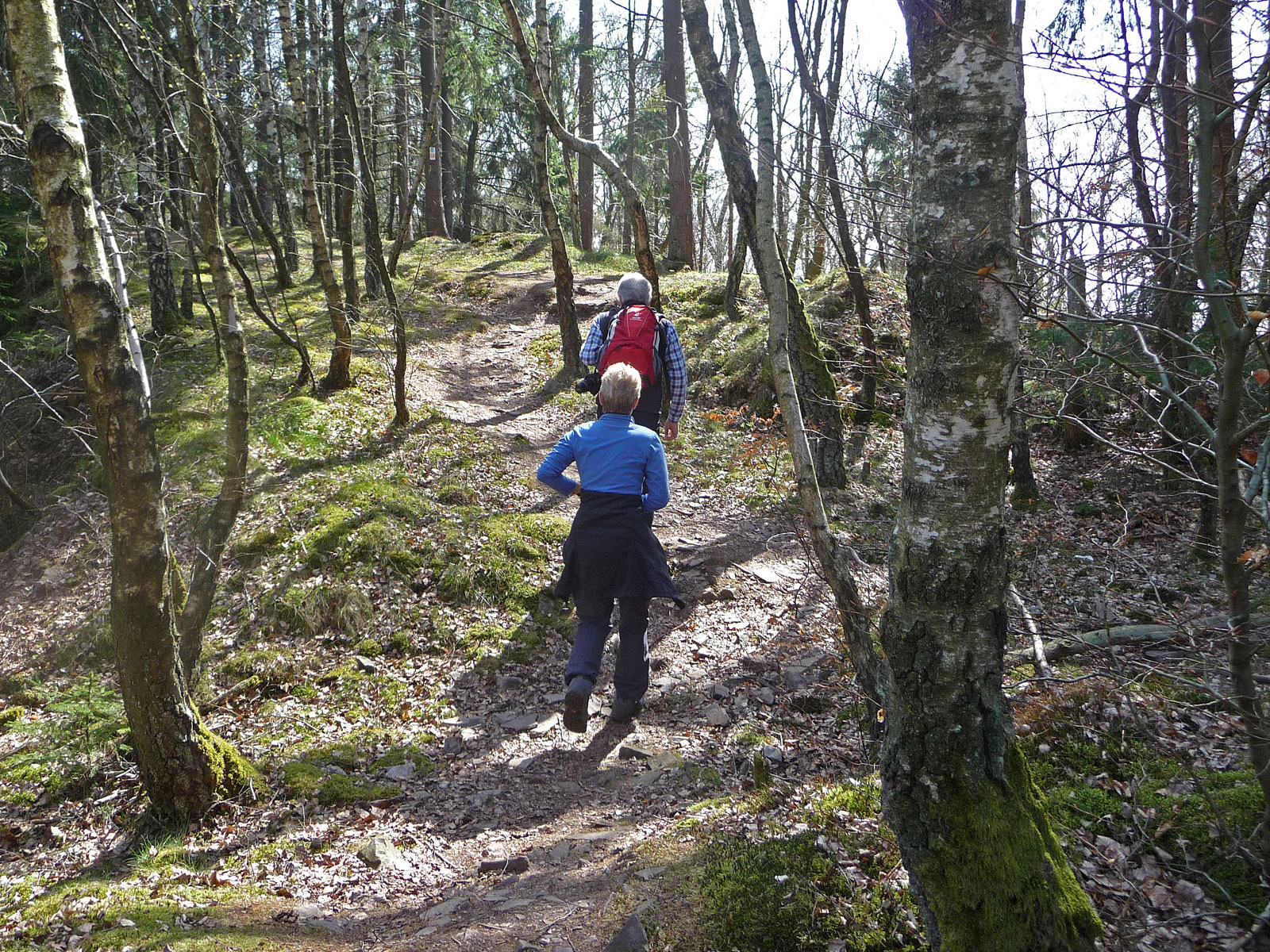 Saar-Hunsrück-Steig Wanderer im Wald