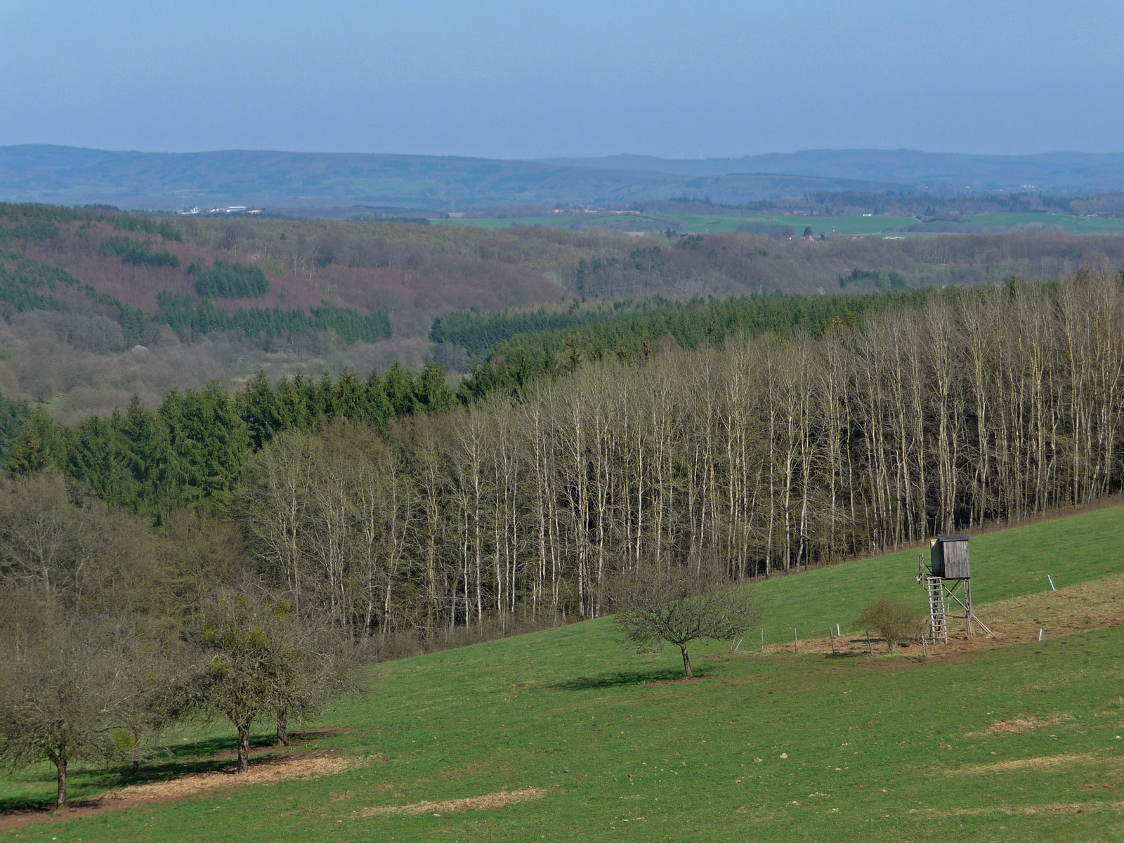 Saar-Hunsrück-Steig Panorama bei Scheiden