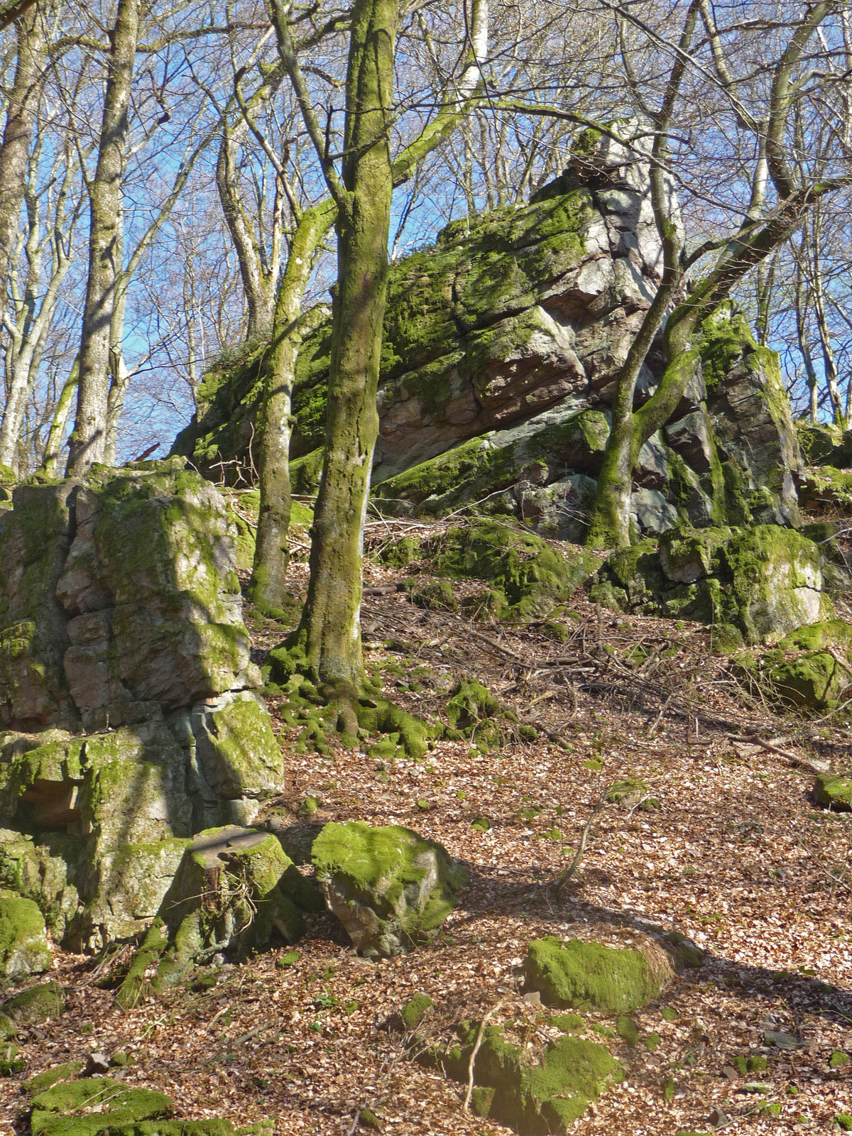Saar-Hunsrück-Steig Traumschleife Felsenweg