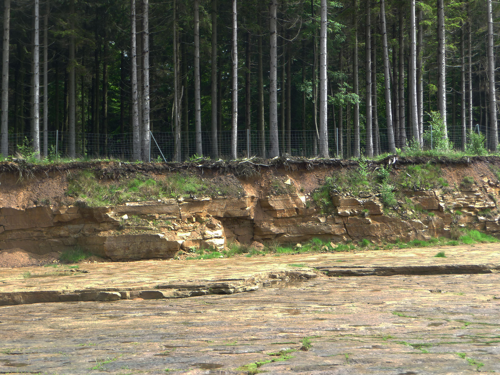Bückeberg Steinbruch